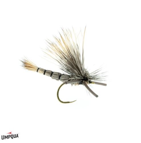 DJL Drake - Gray - Flies - Fly Fish Food