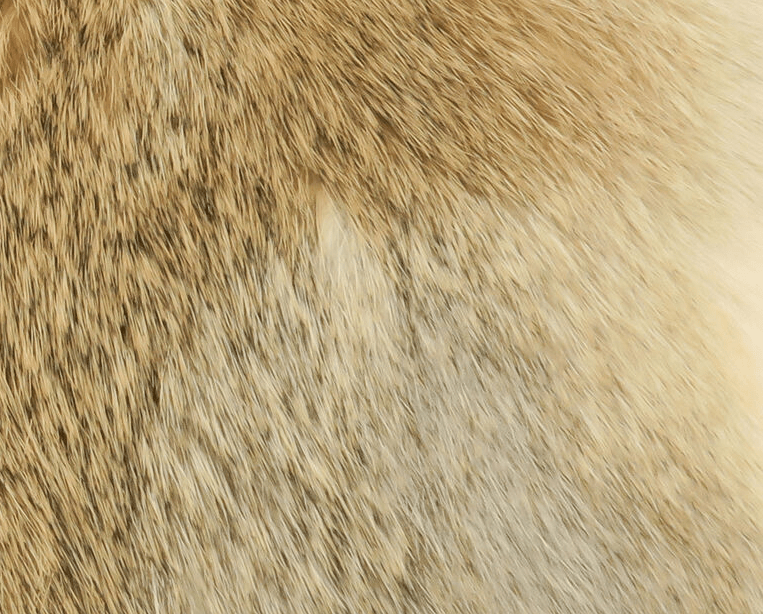 Cross Cut Whole Rabbit Hide - Hair &amp; Fur - Fly Fish Food