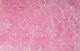 Krystal Flash Chenille - Chenille - Fly Fish Food