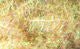 Krystal Flash Chenille - Chenille - Fly Fish Food