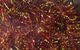 Krystal Flash Chenille - Chenille - Fly Fish Food