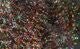 Krystal Flash Chenille - Chenille - Fly Fish Food