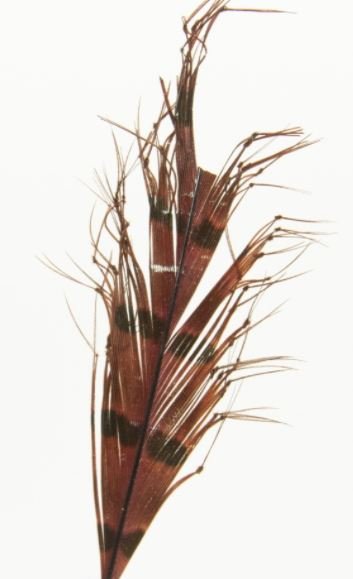 Semperfli Knotted Hopper Legs - Feathers &amp; Marabou - Fly Fish Food