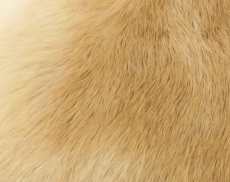 Cross Cut Whole Rabbit Hide - Hair &amp; Fur - Fly Fish Food