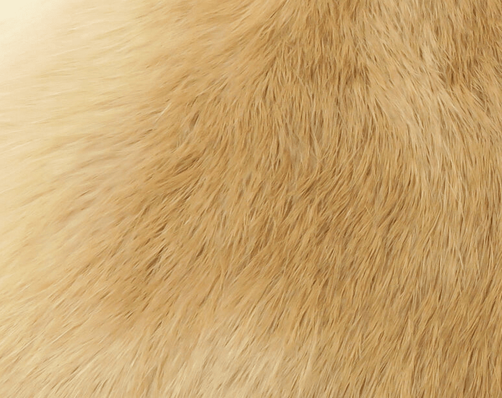 Cross Cut Whole Rabbit Hide - Hair &amp; Fur - Fly Fish Food