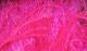 Krystal Hackle - Synthetic Fibers &amp; Flash - Fly Fish Food