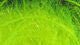 Krystal Hackle - Synthetic Fibers &amp; Flash - Fly Fish Food