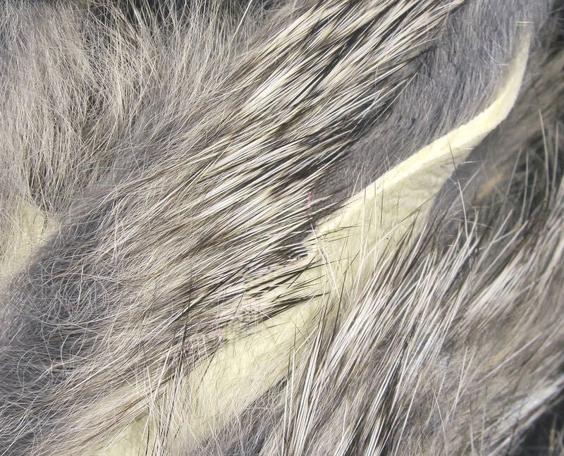 Magnum Rabbit Strips - Hair &amp; Fur - Fly Fish Food