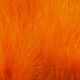 Hareline Marabou Blood Quills - Feathers &amp; Marabou - Fly Fish Food