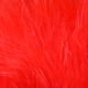 Hareline Marabou Blood Quills - Feathers & Marabou - Fly Fish Food