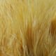 Hareline Marabou Blood Quills - Feathers &amp; Marabou - Fly Fish Food