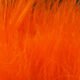 Hareline Marabou Blood Quills - Feathers &amp; Marabou - Fly Fish Food