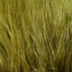 Hareline Marabou Blood Quills - Feathers &amp; Marabou - Fly Fish Food