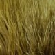 Hareline Marabou Blood Quills - Feathers &amp; Marabou - Fly Fish Food