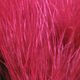 Hareline Marabou Blood Quills - Feathers &amp; Marabou - Fly Fish Food