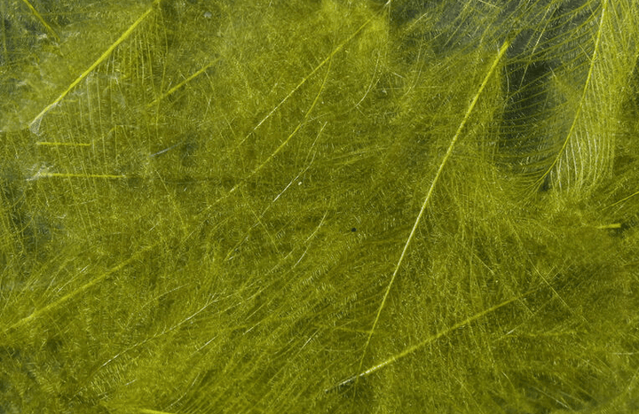Hareline - Premium CDC (Cul De Canard) - Feathers &amp; Marabou - Fly Fish Food