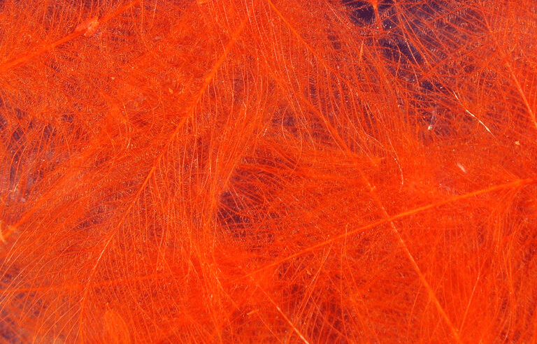 Hareline - Premium CDC (Cul De Canard) - Feathers & Marabou - Fly Fish Food