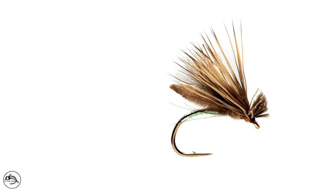 Palomino Caddis - Tan - Flies - Fly Fish Food