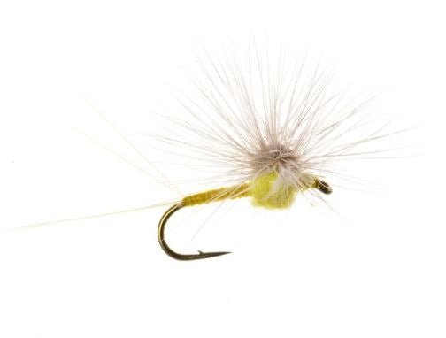 Hackle Stacker Quigley PMD - Flies - Fly Fish Food