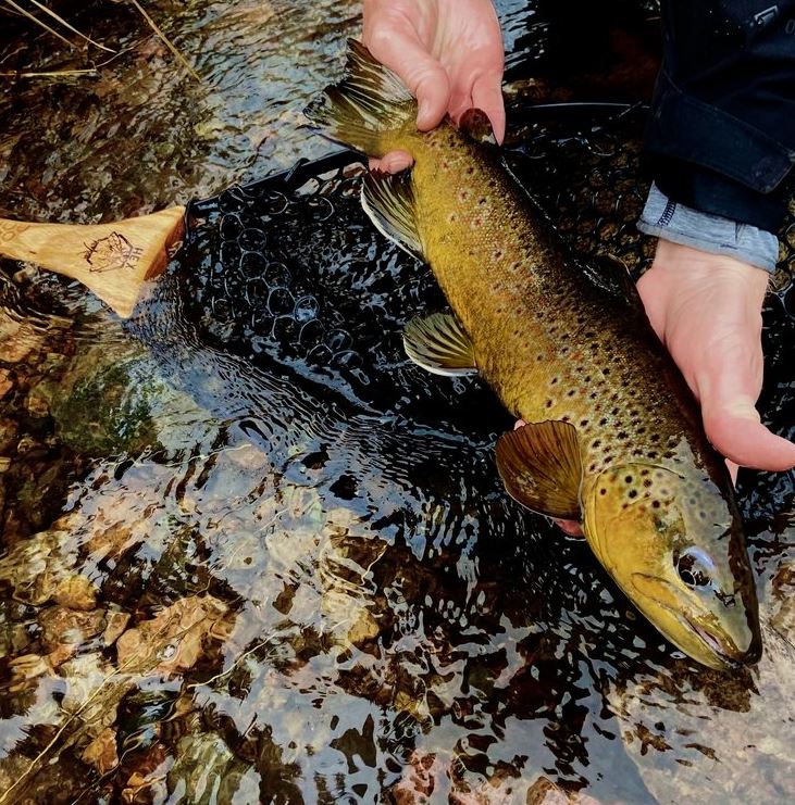 Hex Fly "Steel - Head" Reach Net - Nets &amp; Accessories - Fly Fish Food