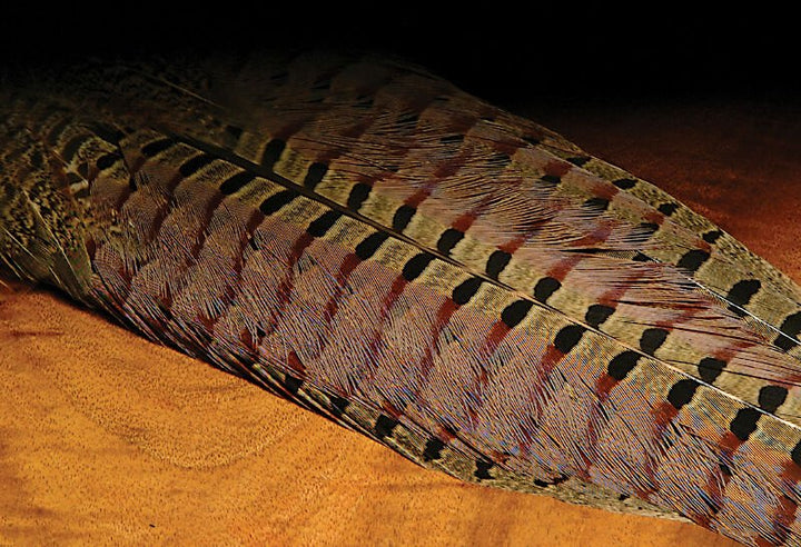 Ringneck Pheasant Complete Tail Clump - Feathers &amp; Marabou - Fly Fish Food