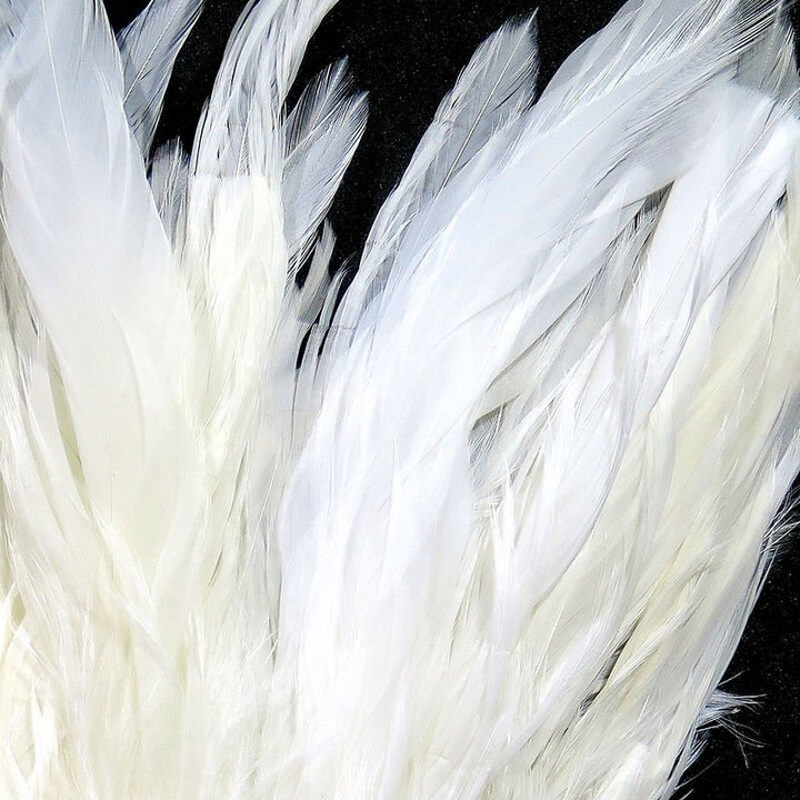 Schlappen - Hackle - Fly Fish Food