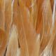Woolly Bugger Saddle Hackle - Hackle - Fly Fish Food
