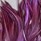 Woolly Bugger Saddle Hackle - Hackle - Fly Fish Food