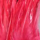 Woolly Bugger Saddle Hackle - Hackle - Fly Fish Food