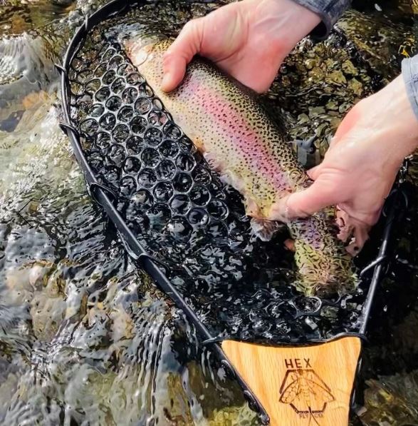 Hex Fly "Steel - Head" Solo Net - Nets &amp; Accessories - Fly Fish Food