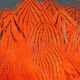 Silver Pheasant Body Feathers - Feathers &amp; Marabou - Fly Fish Food