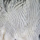 Silver Pheasant Body Feathers - Feathers &amp; Marabou - Fly Fish Food