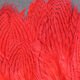 Silver Pheasant Body Feathers - Feathers &amp; Marabou - Fly Fish Food