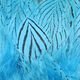 Silver Pheasant Body Feathers - Feathers &amp; Marabou - Fly Fish Food