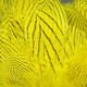 Silver Pheasant Body Feathers - Feathers &amp; Marabou - Fly Fish Food