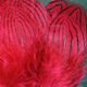 Silver Pheasant Body Feathers - Feathers &amp; Marabou - Fly Fish Food
