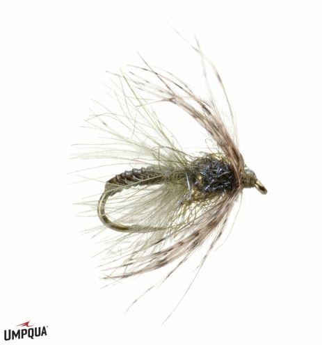 Swing Caddis (Tung) - Olive - Flies - Fly Fish Food