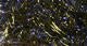 UV Life Flex Wrap - Synthetic Fibers &amp; Flash - Fly Fish Food